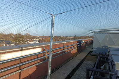 Bird Proofing